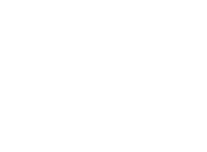 SWI Logo