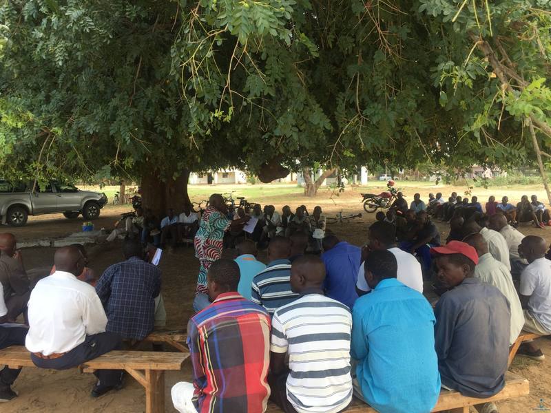 Community outreach meeting under a tree